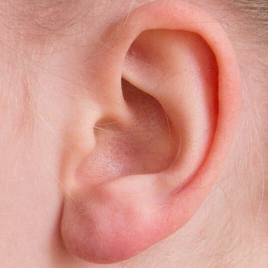 お子さんの不登校・登校しぶりの相談に対応します お子さんの学校に関する問題で悩む親御さんのための窓口 イメージ1