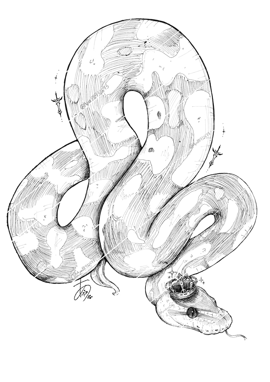 黒白のガサガサタッチでペットイラスト描きます ガサガサとしたタッチでペットちゃんの似顔絵を描きます！！ イメージ2