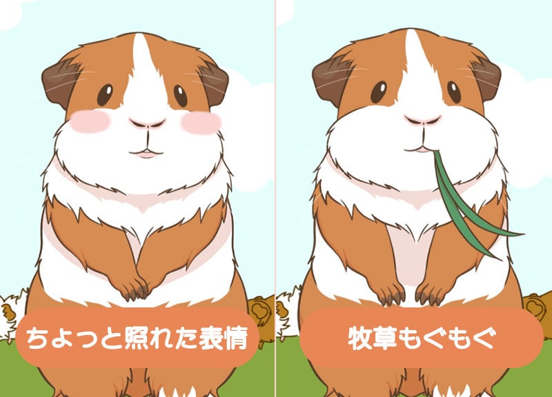 シンプルな動物着ぐるみLive2dモデル制作します ペット配信におすすめの動物モデルです イメージ2