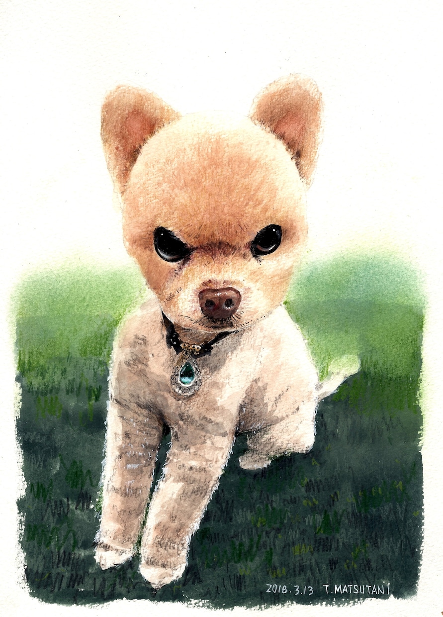 大切なペットの絵を写真から手描きで描きます お気に入りの写真があれば1匹から描きます。 イメージ7