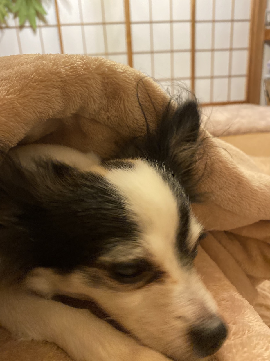 愚痴でもなんでも聞きます ☆1分だけでもお気軽にお電話ください☆ イメージ2