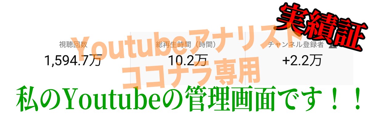 あなたのYoutube徹底的にコンサルします 登録者数2万人超の現役Youtuberがあなたの戦略を伝授 イメージ2