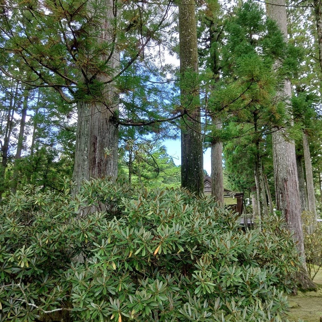 話します 恋愛相談、人生相談、承ります。任せて下さい。しんどい時は。 イメージ1