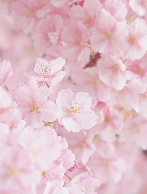 1分からでもお話を聴きます モヤモヤしたら、ちょっと話してみませんか？ イメージ2