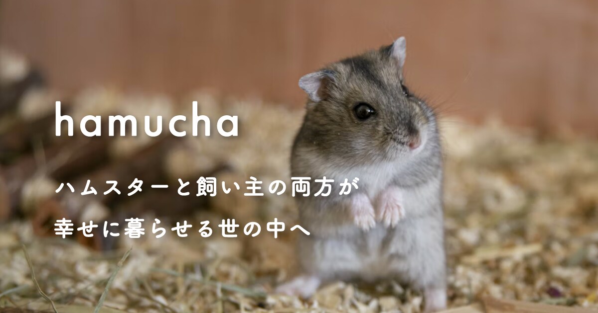 お洒落なデザインで運用もしやすいサイトを作ります サイトの日々の運用のしやすさで選ぶならSTUDIOがおすすめ イメージ5