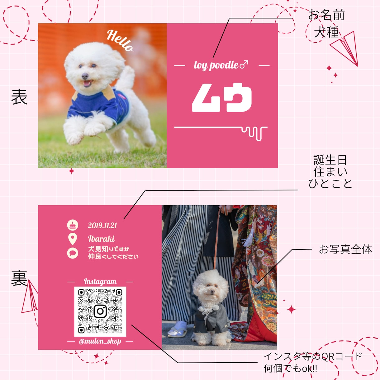 シンプル好きさんのうちの子名刺お作りします 人気商品　オシャレカラー名刺♡100枚　うちの子名刺　両面印 イメージ1