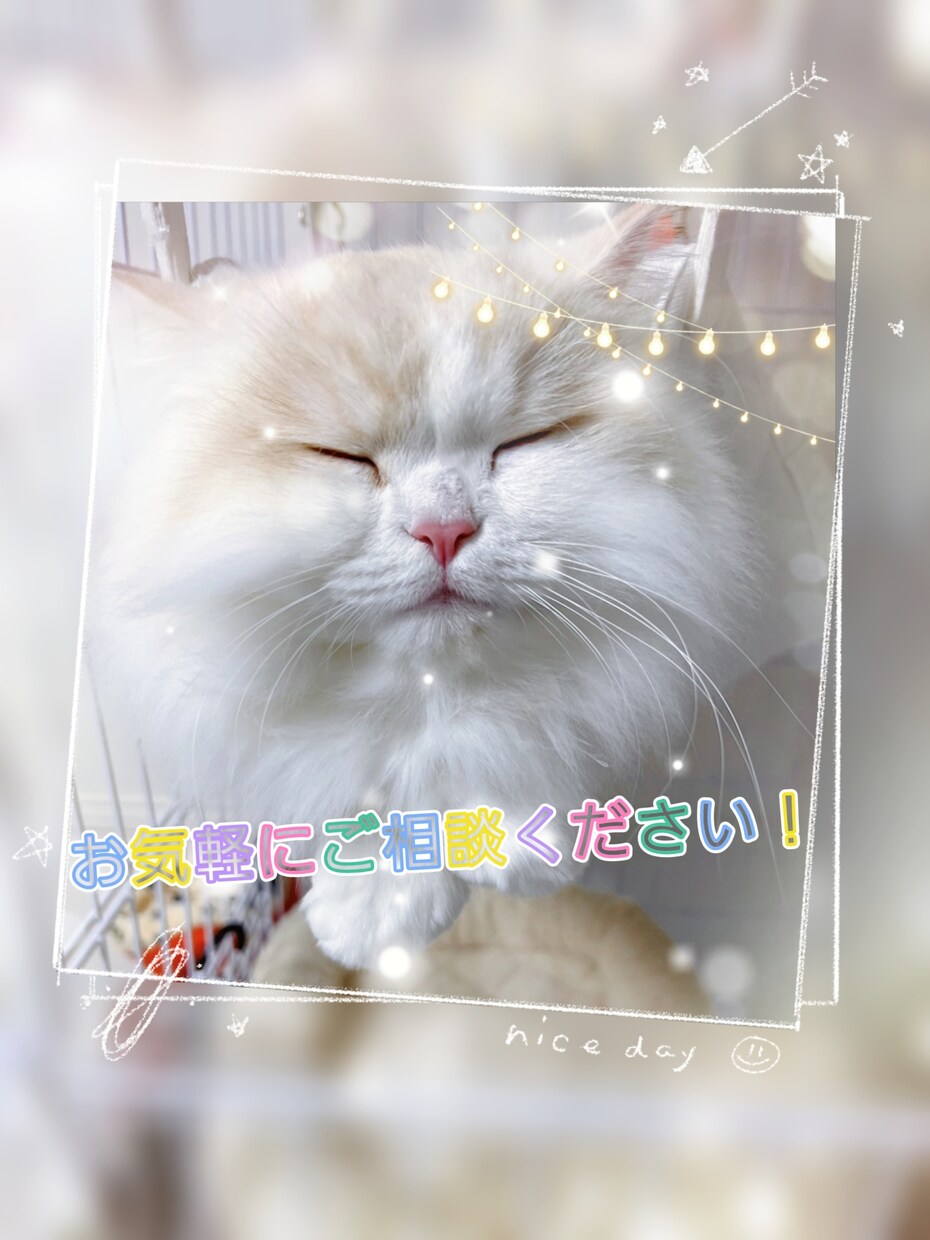 ペットさんに関するお悩みお聞きします ☆これからペットを迎えたい方などもご相談ください！ イメージ1