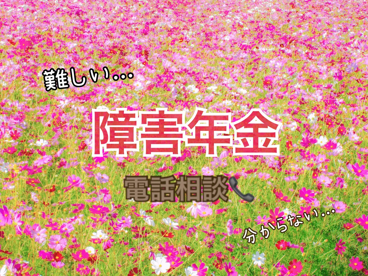 障害年金の電話相談できます 障害年金について直接相談したい方向けです(^^) イメージ1