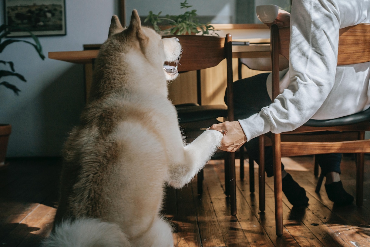 アドラー心理学勇気づけリーダーがあなたを応援します あなたの頑張っている事や、目標達成を応援します！ イメージ2