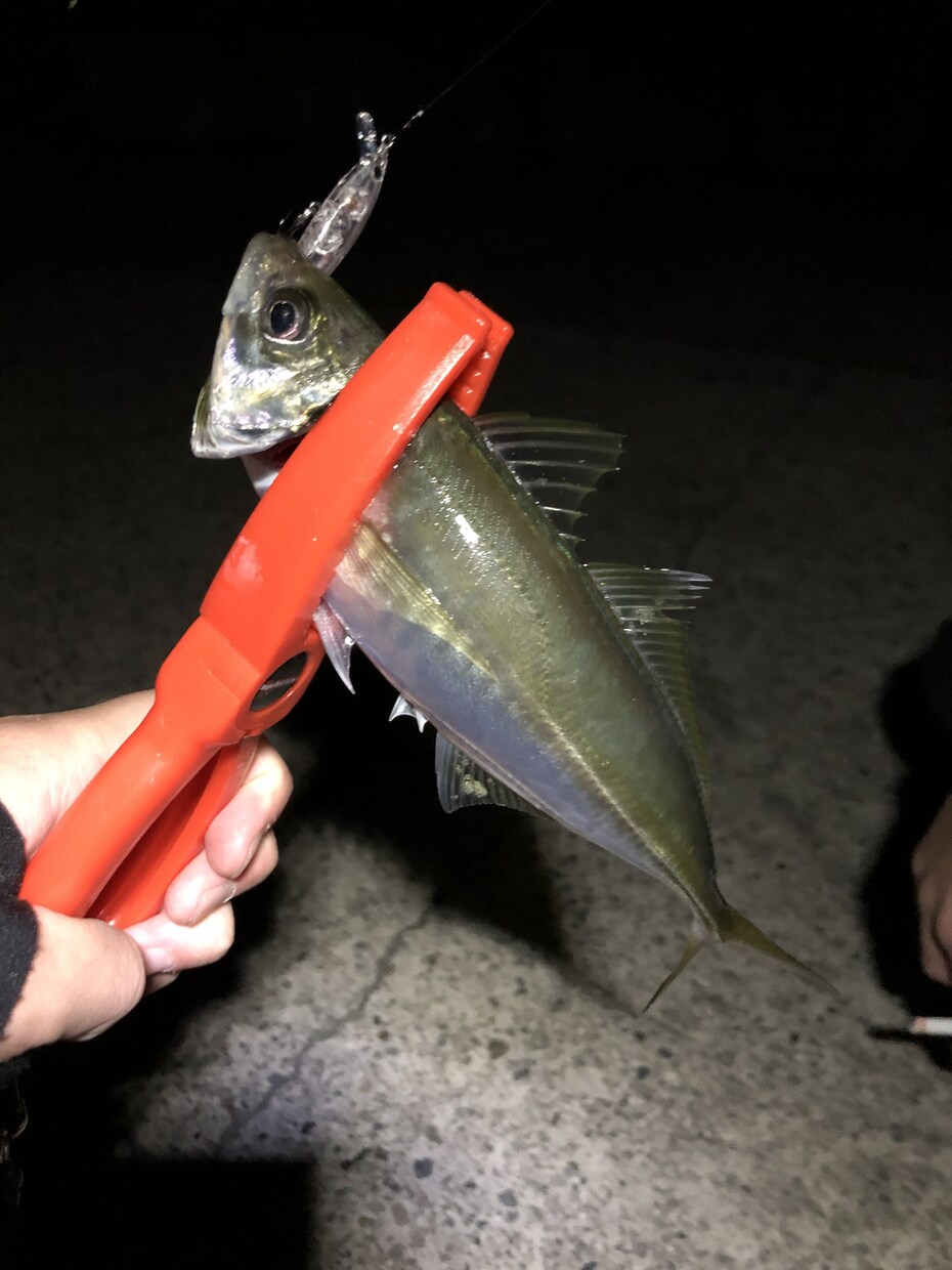 ルアー釣りの「いろは」お伝えします 【最長15日】実体験を基にお答えします！ イメージ4