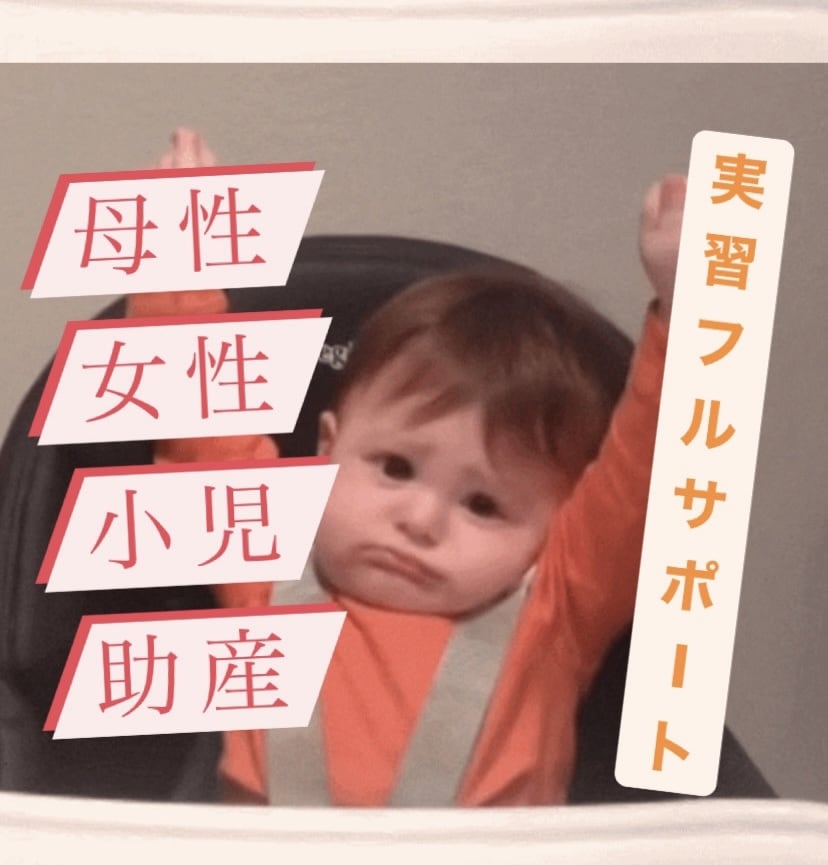 母性・女性・小児・助産！記録のお手伝いします 母性・小児領域に特化している現役助産師が対応します！ イメージ1