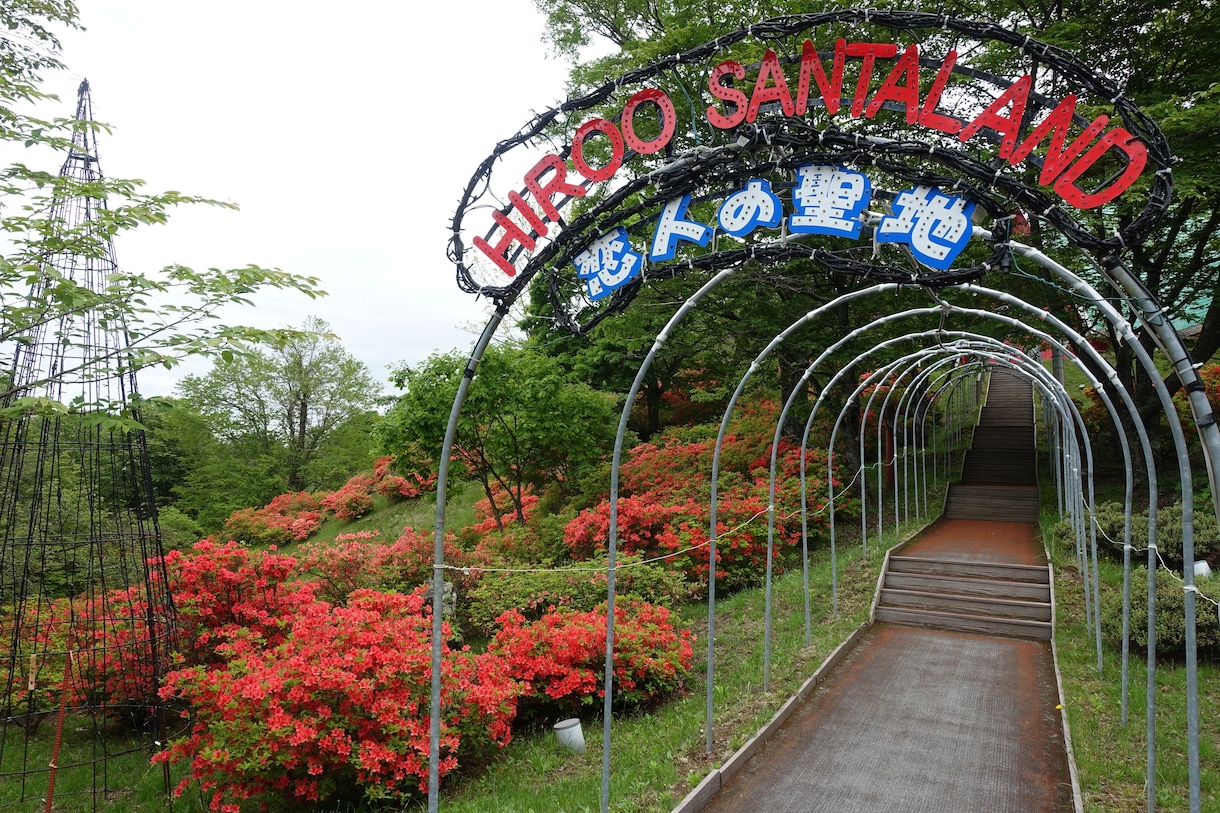 北海道の行きたいところへ、代わりに行きます 自由に旅行がしにくい昨今、あなたに代わって北海道を旅行します イメージ3