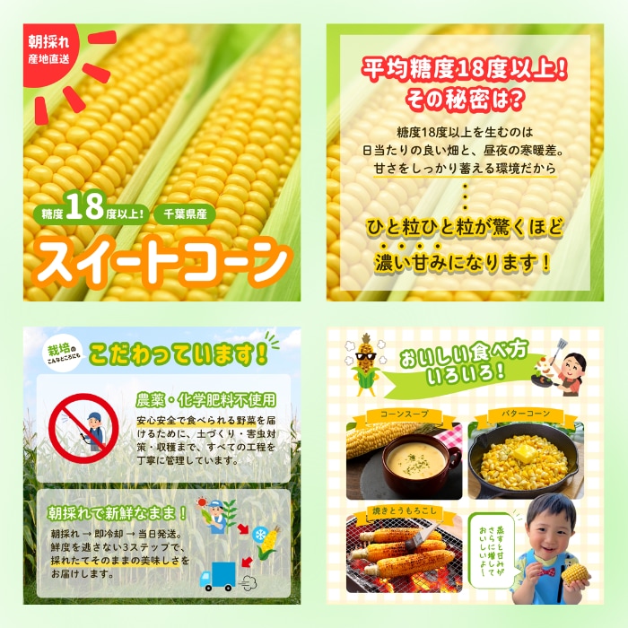 パッ！と目にとまるデザインをお作りいたします 高品質！低価格！6枚セット3,000円でご提供いたします！ イメージ6