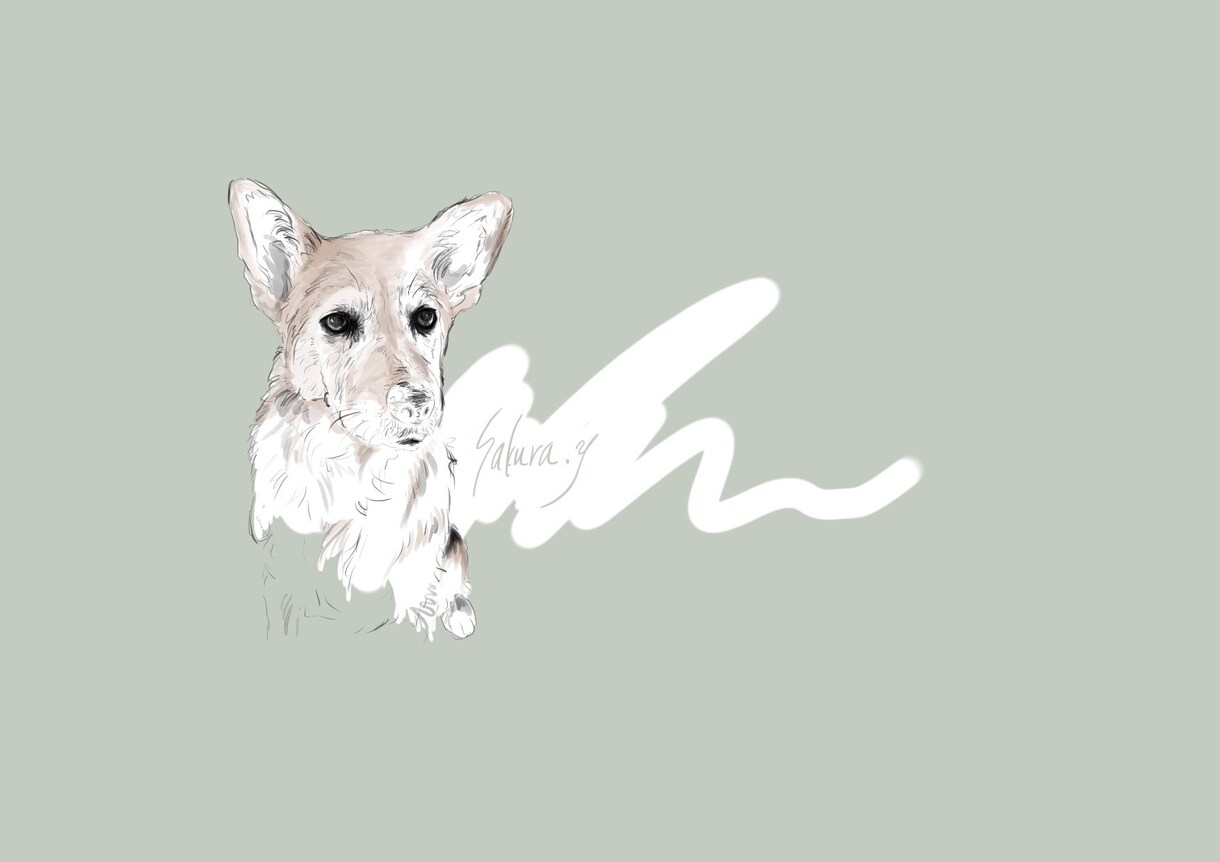 あなたの大切なペットや動物をイラスト化します 大切なペットや動物をイラスト化したい方へ イメージ4