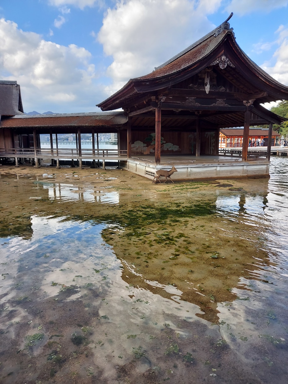 お水取りご希望の方！吉方位と吉日、時間出します お水取りご希望の方！プロが占います！(最大20日) イメージ2