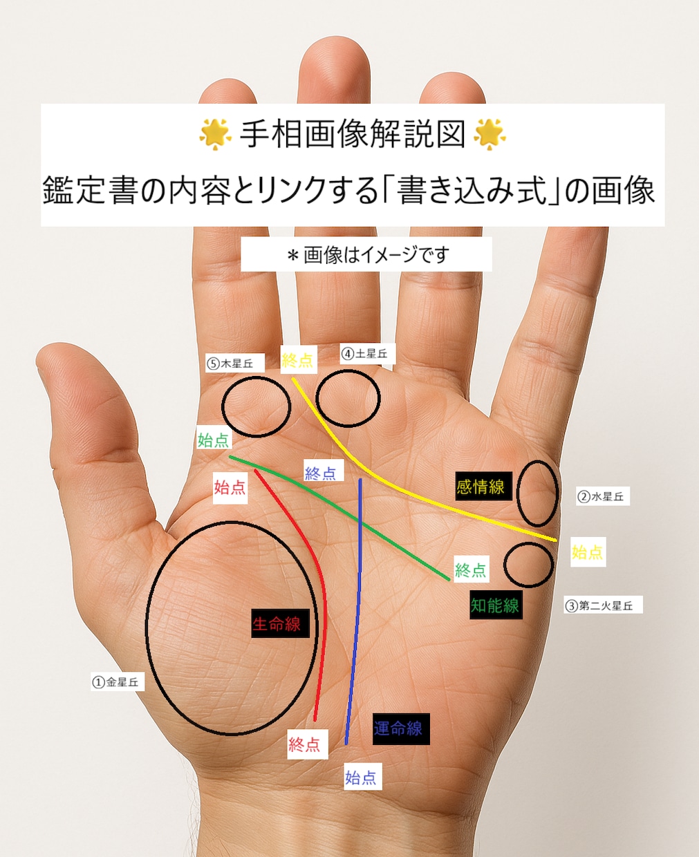 とことん深掘り鑑定✨あなたの悩みに寄り添います 9月中モニター特別価格でご案内中です！ イメージ2