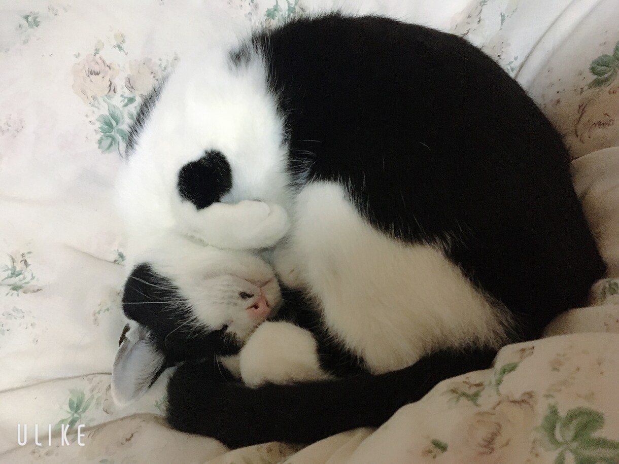 うつ経験のある看護師兼カウンセラーがお話伺います もやもやした気持ちそのままでOK！話すだけで楽になります イメージ10