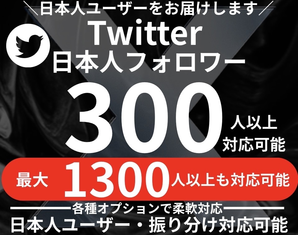 Twitter 日本人フォロワー300人増加します X・(旧Twitter) 日本人のフォロワーを増やします イメージ1