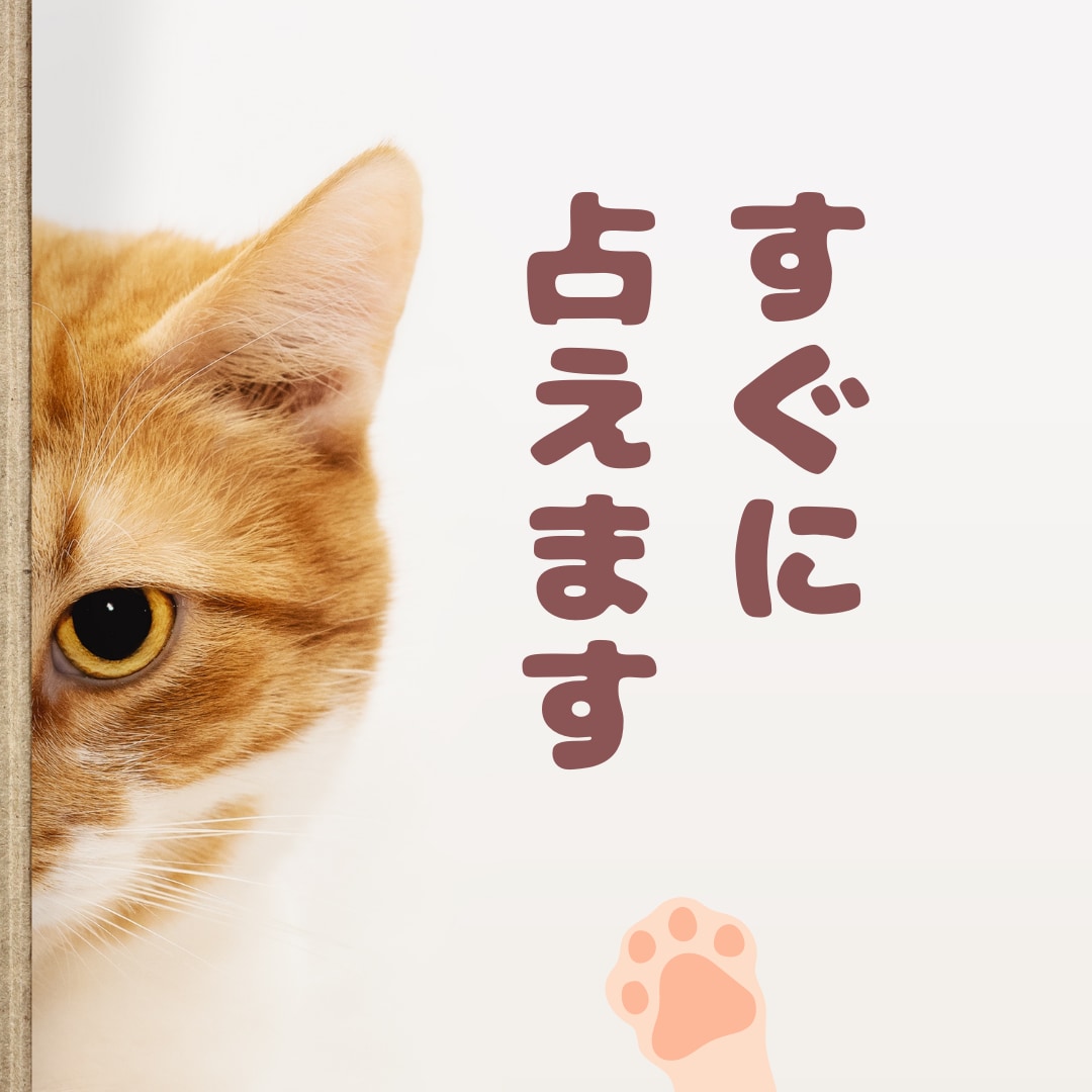 すぐにタロットで鑑定します 恋愛・相手の気持ち・仕事・人間関係・・知りたい事は何ですか？ イメージ1