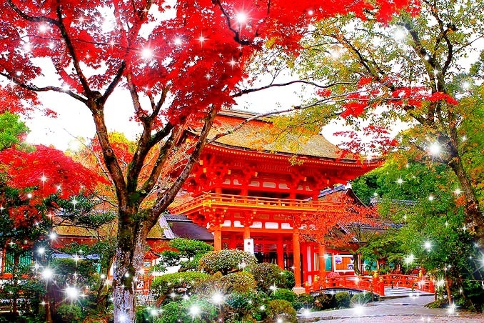 片思い占い・理想の恋愛を叶え片思い成就へ導きます あなたと彼の関係を一気に進展させて恋愛成就へ導く霊視鑑定 イメージ6