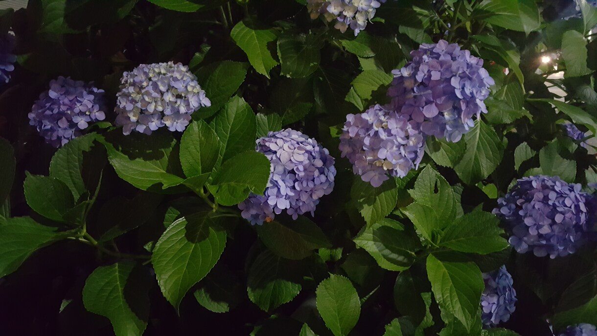 あなたをほめまくります あなたの良いところをたくさん見つけてほめます イメージ1