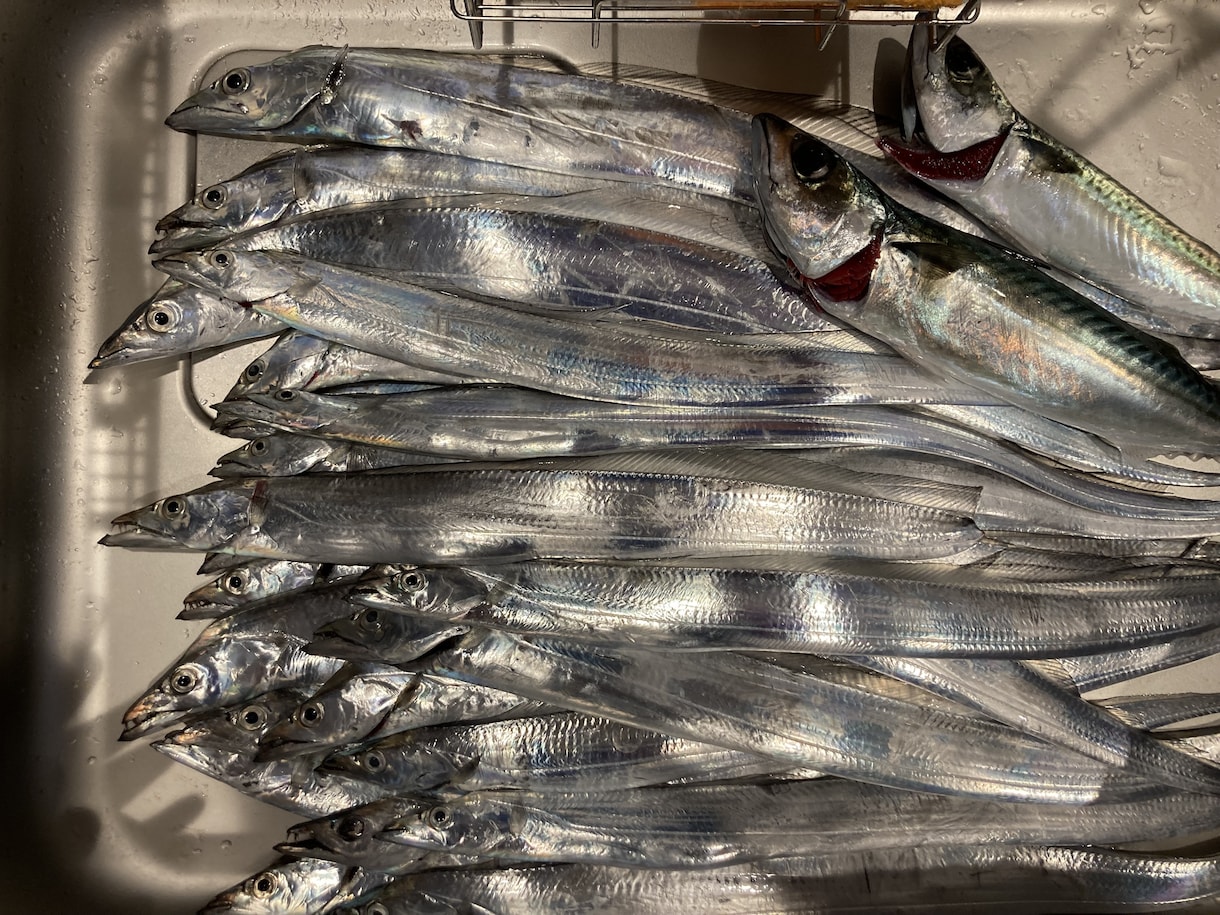 初心者〜熟練者まで！釣りの相談のります 動画ではわからない釣具の選び方や良い船宿選定教えます イメージ2