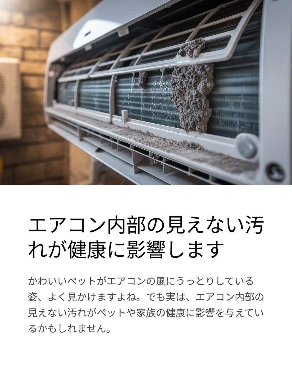 Canva使用　LPの制作をトータル作成致します 初めてのLP制作の方も大歓迎です イメージ2