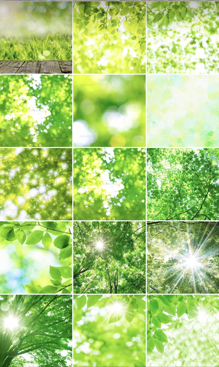 一生変わらない【あなたのカラー】写真でお伝えします 【あなたのカラーに近い画像15枚】と【あなたへのメッセージ】 イメージ6