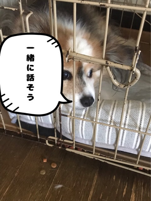 1分からでもOK！貴方からのお電話待ってます 大学生の僕がなんでもお話し聞きます。 イメージ1