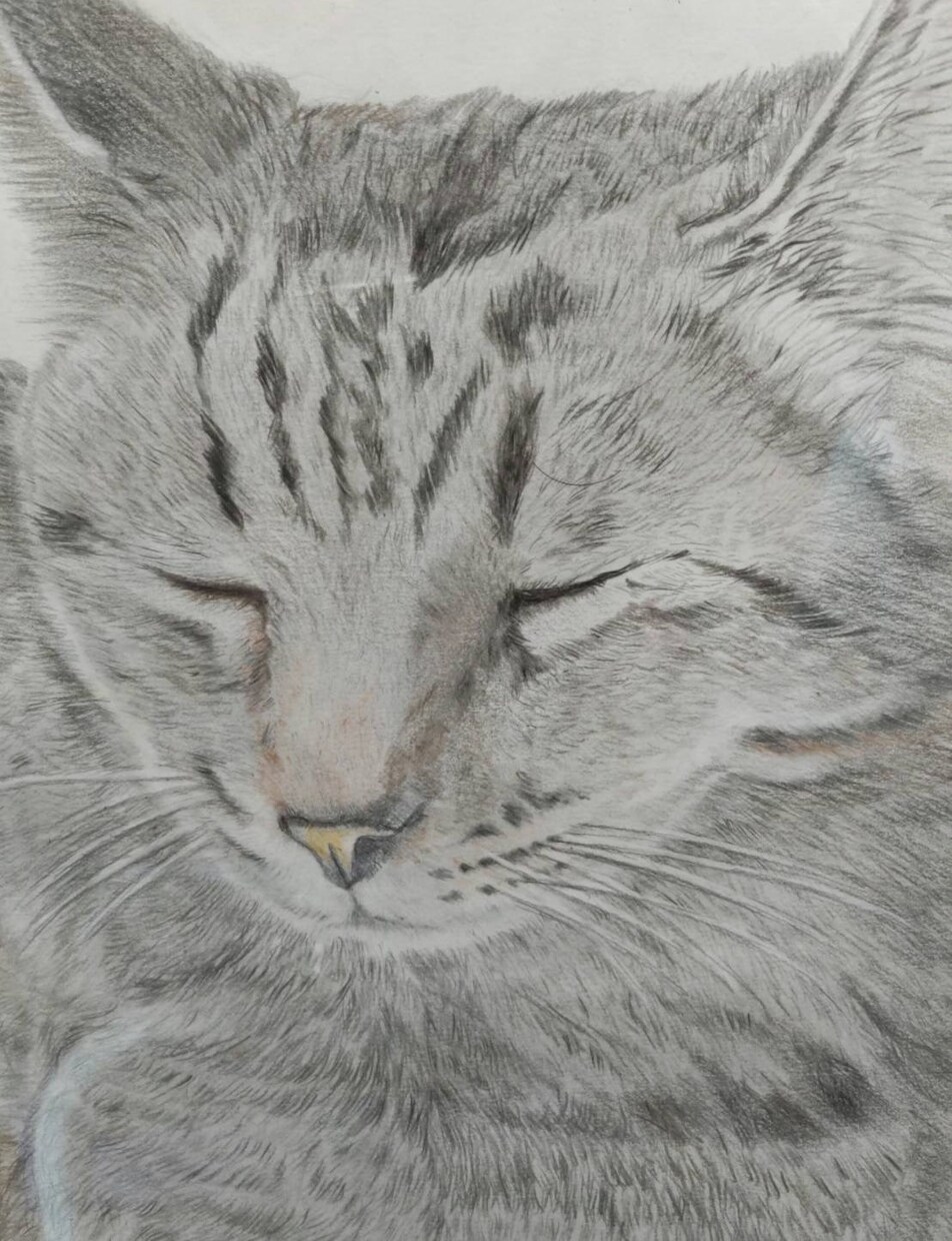 大切なペットの遺影を手描きで制作します 大切なペットの遺影を心を込めて手描きで制作します。 イメージ2