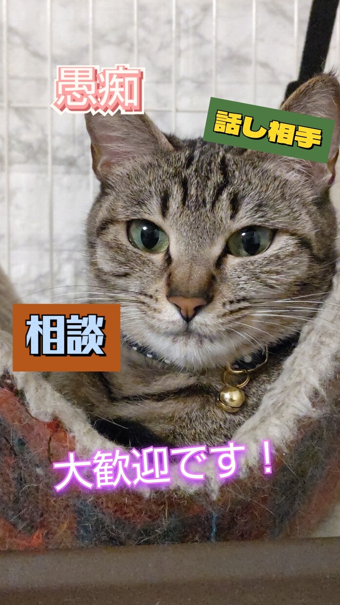 女性限定☆ちょっとした事でも聞きます 愚痴、悩み、雑談、恋愛など、もちろん秘密厳守致します！ イメージ1