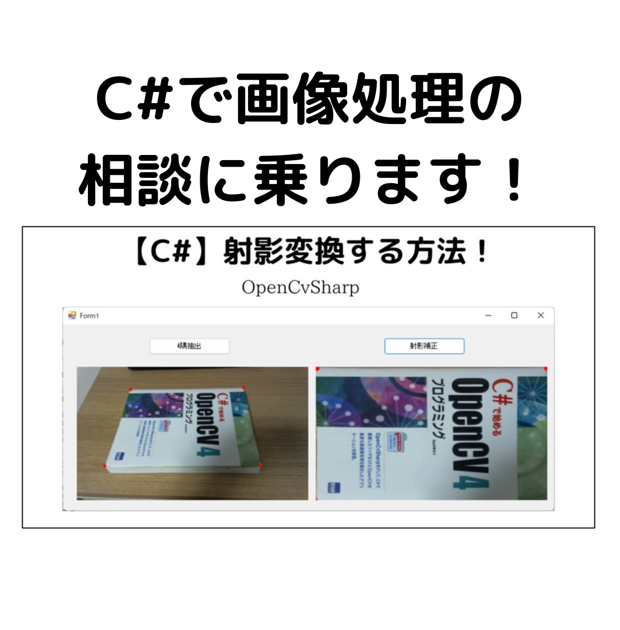 C#で画像処理のサンプルを作成します C#で画像処理のサンプルコード作成や相談に乗ります！ イメージ2