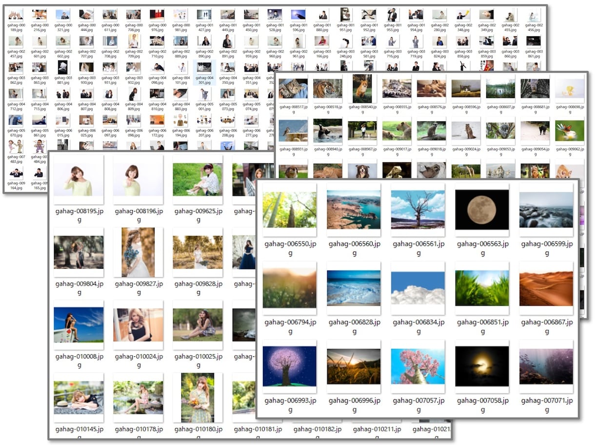 写真素材【2万点】著作権フリー商用無料を提供します 商用利用可。豪華特典付き。24時間以内に納品します。 イメージ4