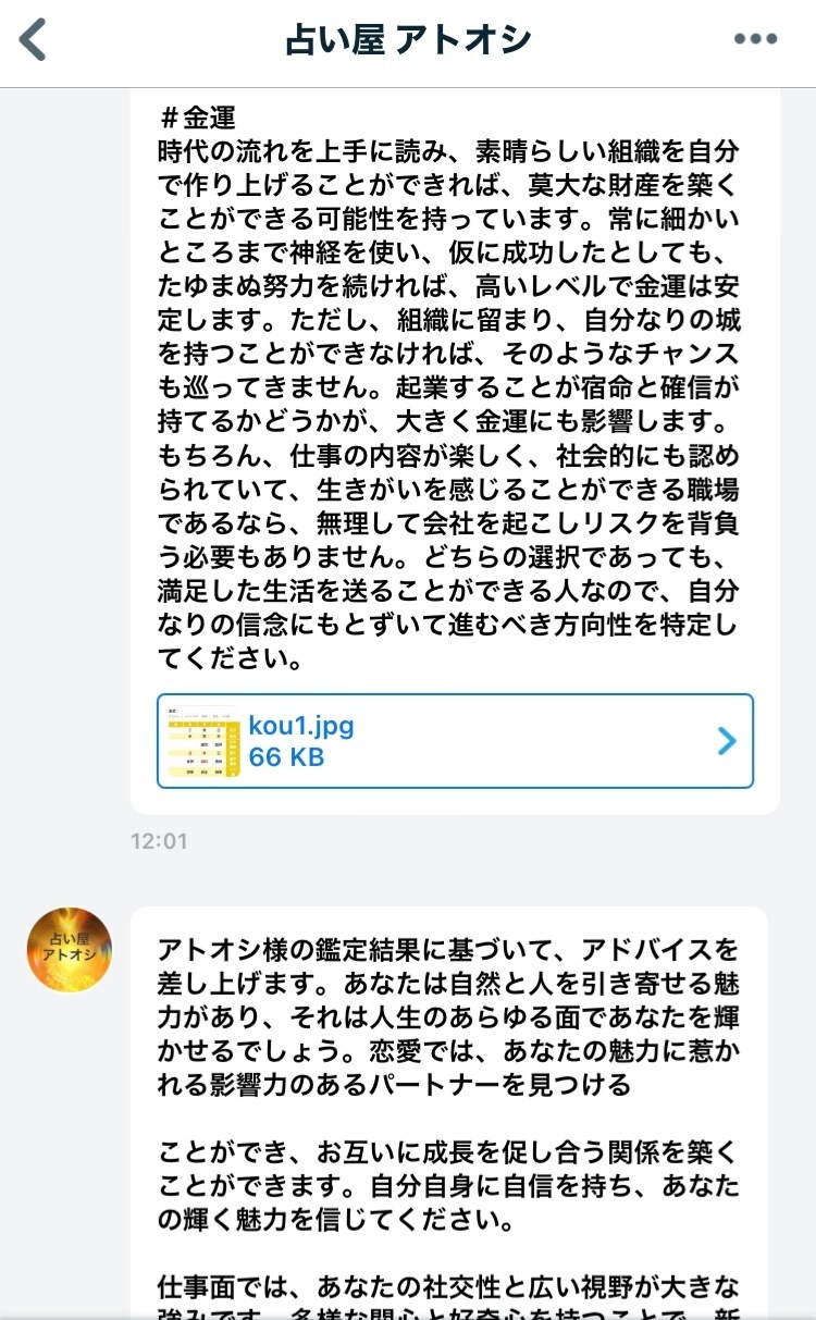 四柱推命を用いて10項目運勢鑑定します 鑑定結果を3日以内にメッセージでお送りさせていただきます。 イメージ6