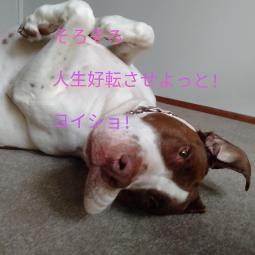 人に言えない悩みは色々あります！人生相談承ります もやもやしている問題を解決できるよう、お手伝いさせて下さい！ イメージ3