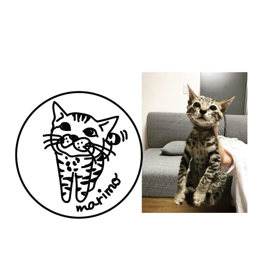 用途に合わせた、線画イラスト描きます ウェディングや美容、コスメ、イベントなどお好みのイラストを。 イメージ2