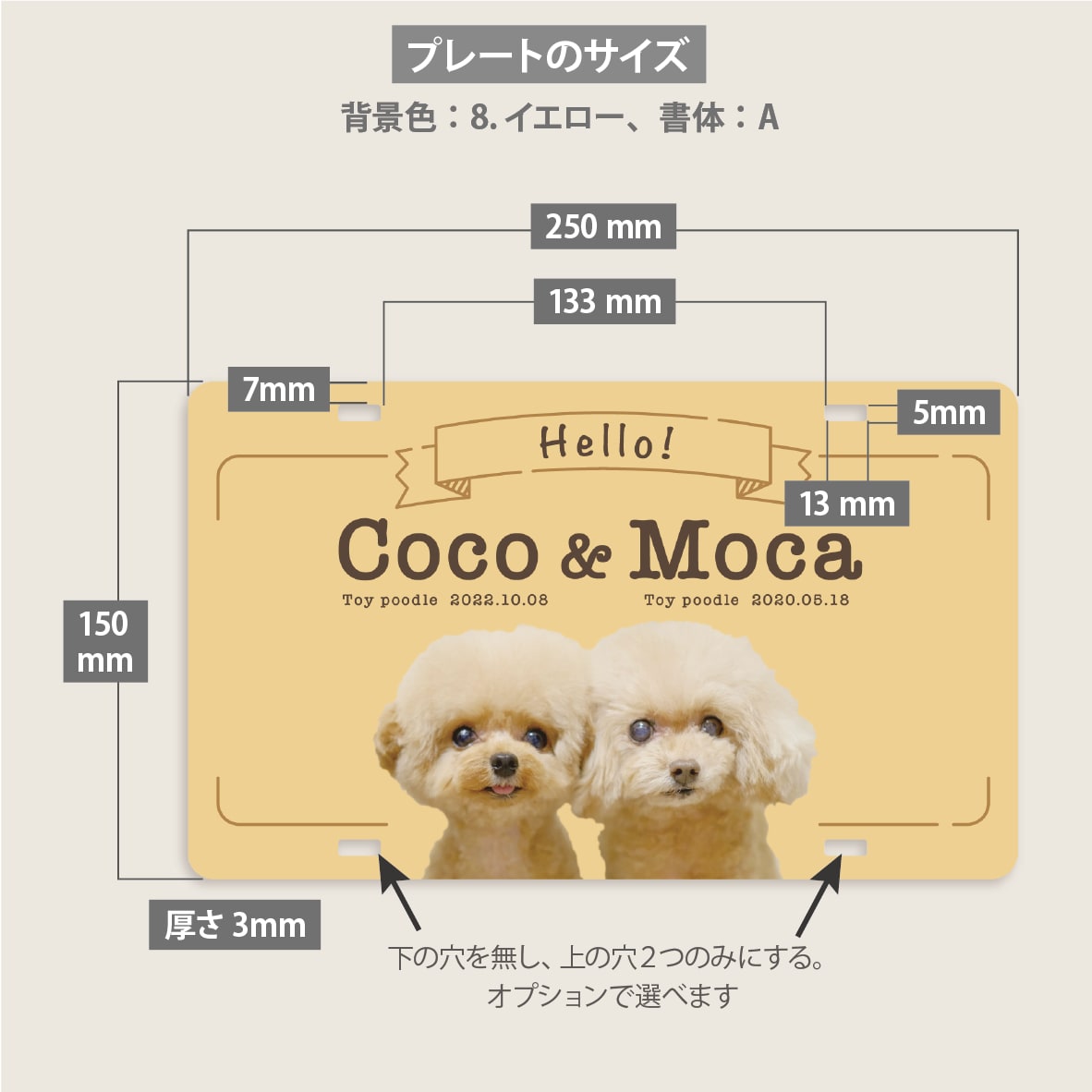 写真入り犬多頭さんペット用カートプレート作成します イベントが楽しくなる！デザイナーの高品質セミオーダー送料込 イメージ10