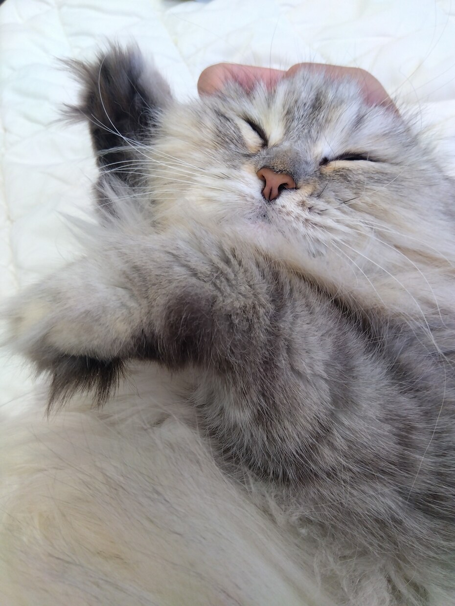 いのちのでんわ受け付けています すぐに繋がるいのちのでんわ。話したいことゆっくりお聞きします イメージ3