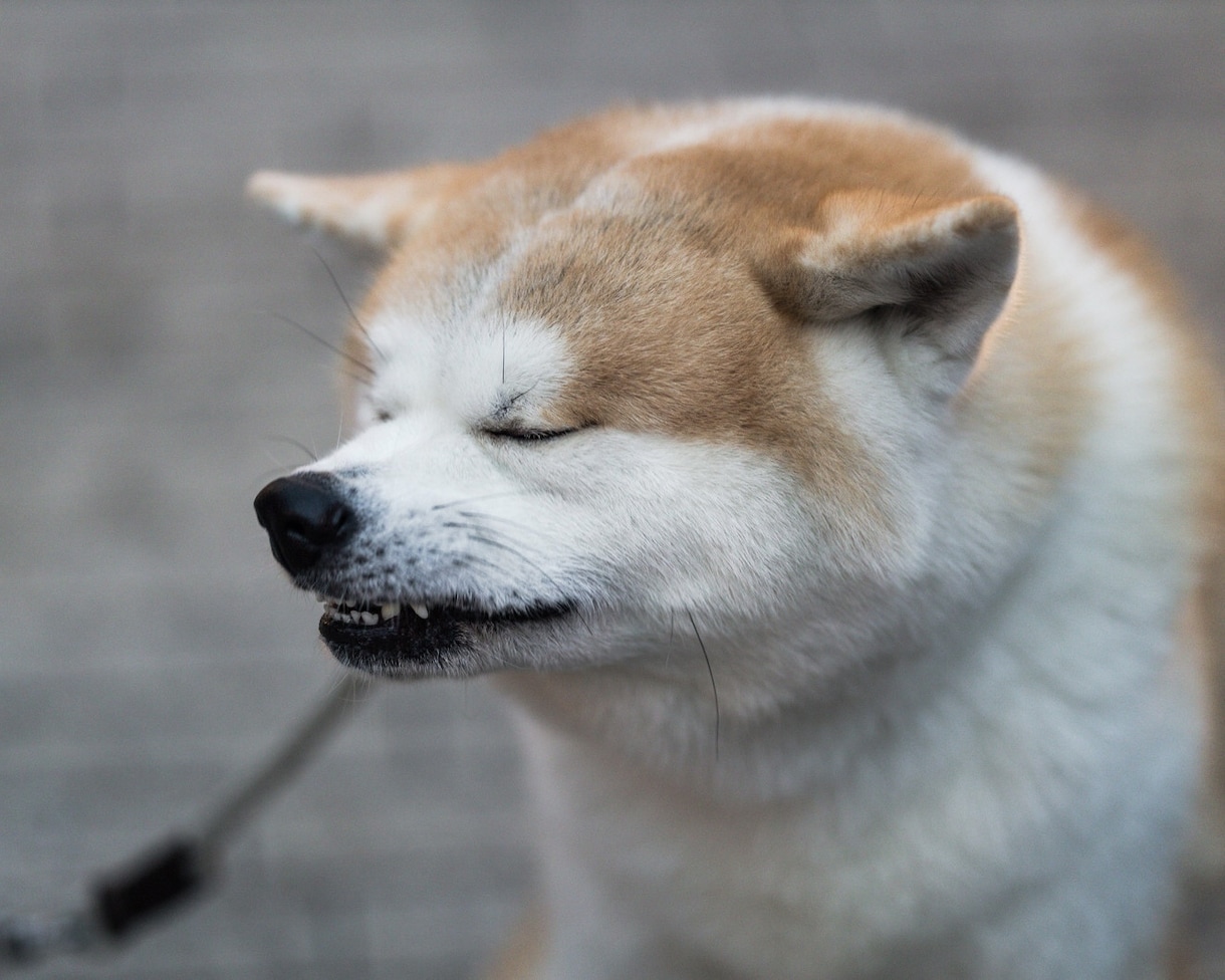 どんなお話でもＯＫ。気軽にお話相手になります １分〜お話ききます。悩み、怒り、いろんな気持ちを発散しよう。 イメージ7