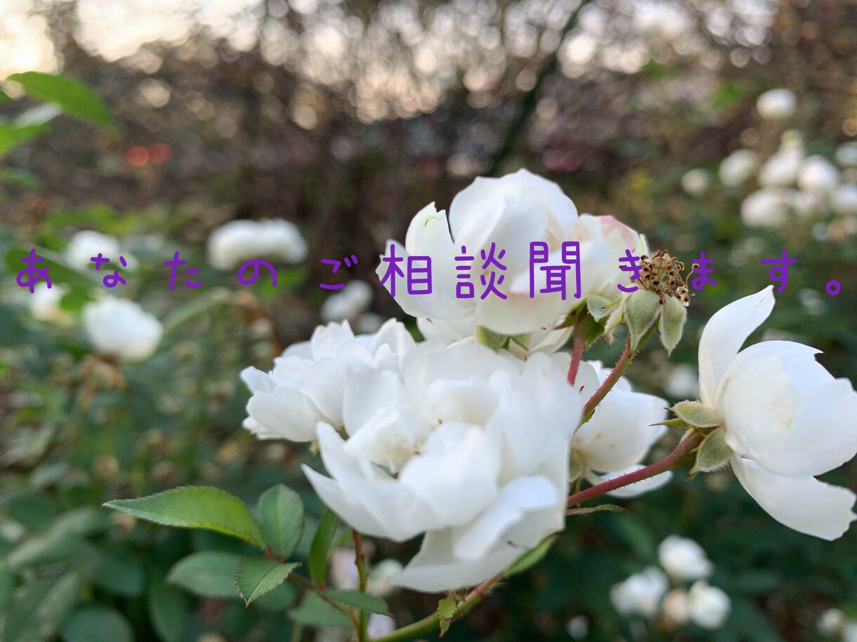 あなたのお悩み聞きます 上手く話せなくても大丈夫です！ イメージ1