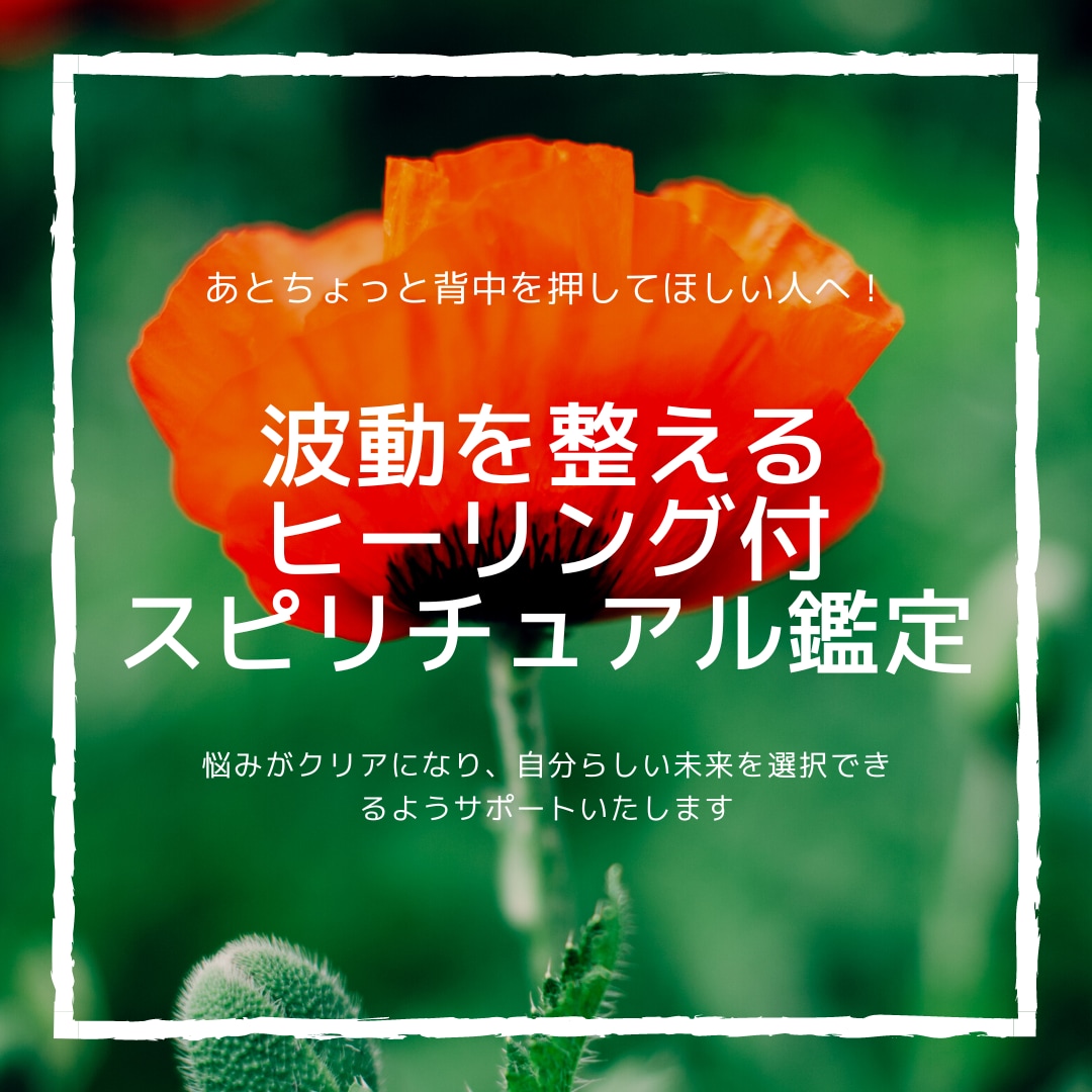お悩みをチャネリング、霊視、ヒーリングで浄化します 不安や悩みをスッキリ解決して幸せな未来の実現をサポートします イメージ1