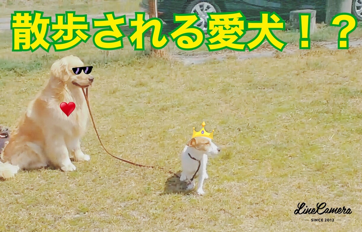 結婚式の動画作成を行います 友人の結婚式を何回も作成しています(^^) イメージ2