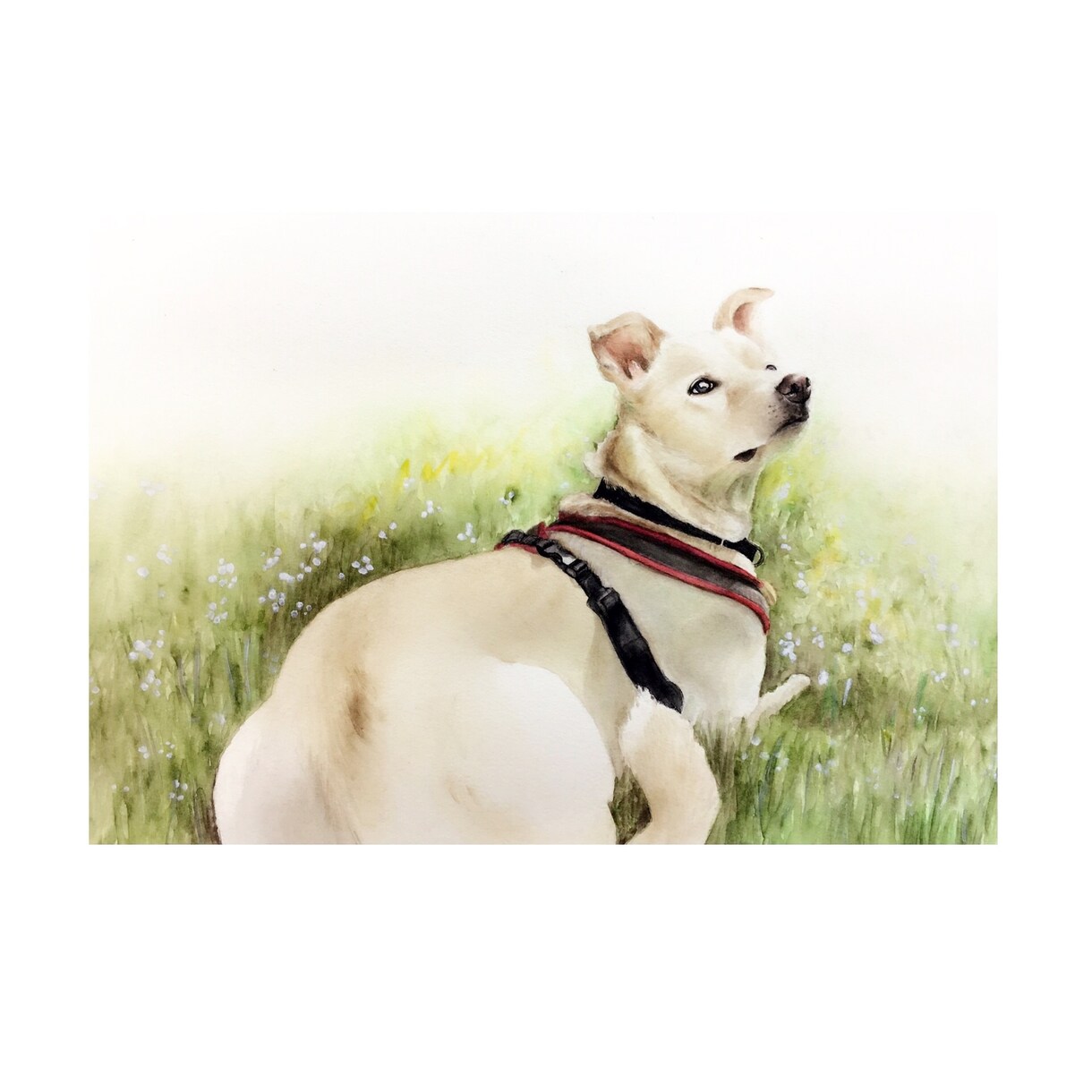 ペットやお好きな動物の似顔絵イラストを描きます プレゼントやペットとの思い出にいかがですか？ イメージ5