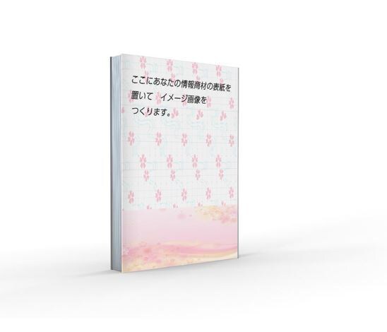 書籍、パッケージのイメージ画像を作成します 無形商品や電子書籍を販売する方必見のリアルイメージ画像です。 イメージ2