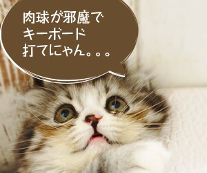 ホームページを作るにあたって、ご相談受付けます 最初の「どうしたらいい？」から、その他疑問、質問、相談まで。 イメージ2