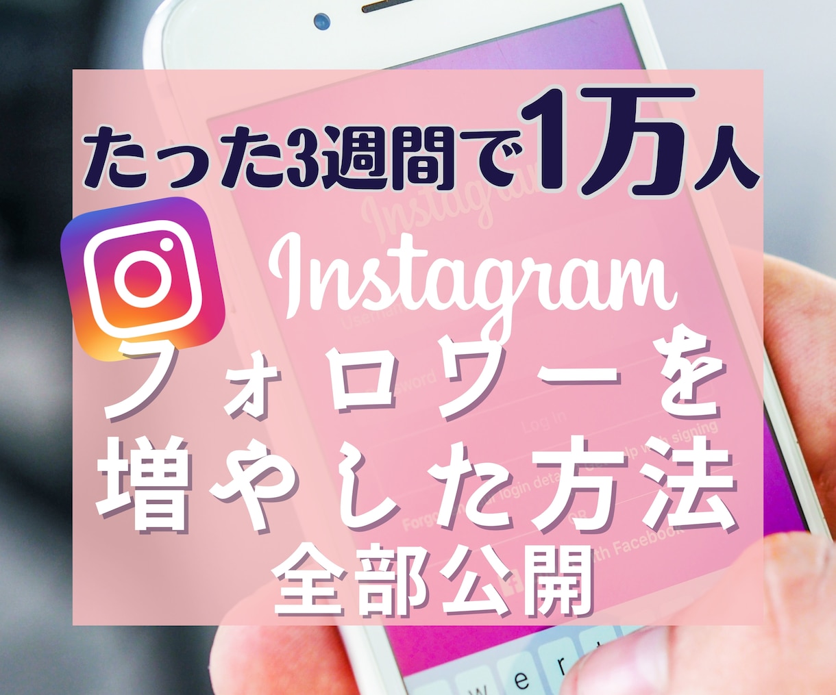 実績あり！インスタ集客・運用ノウハウ教えます 3週間でフォロワー1万人達成した私がやったこと全部公開！ イメージ1