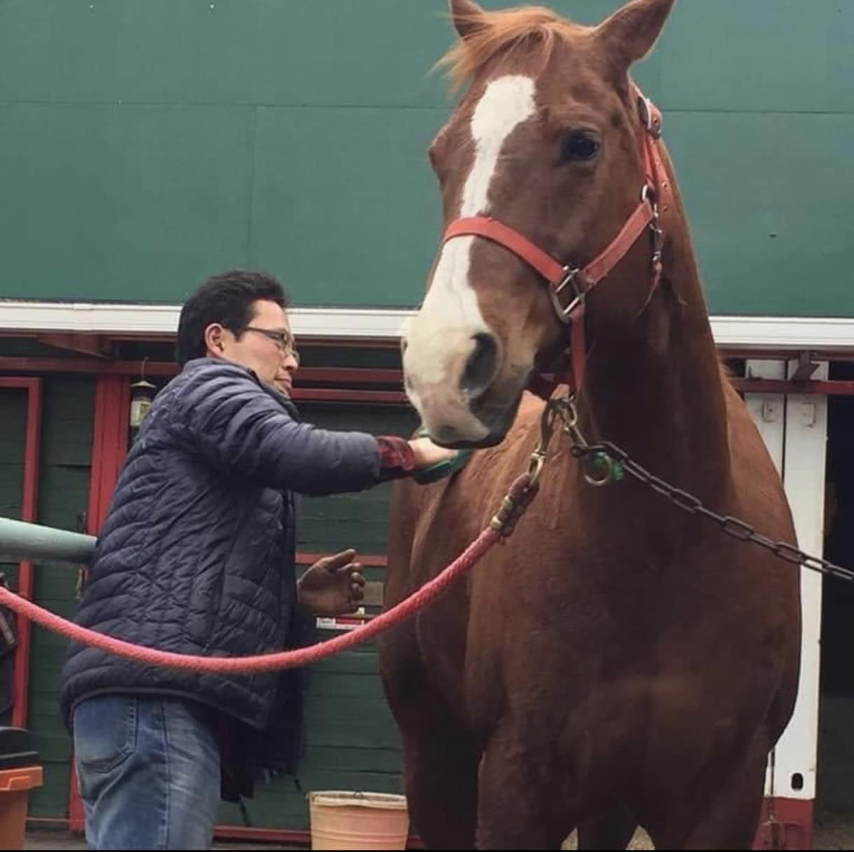 動物専門 鳥獣貿易 全動水協 乗馬クラブ話聞ます 現在42歳。動物業界の経験値は人より多いと思います。 イメージ1