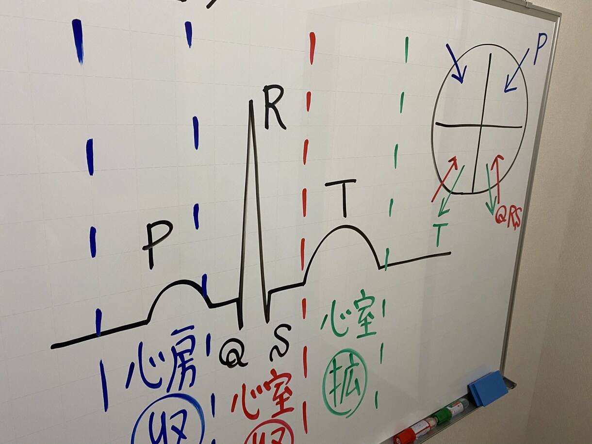 看護学生さん必見！完全個別サポートを行います 国家試験対策・実習対策、なんでもご相談ください⭐️ イメージ5