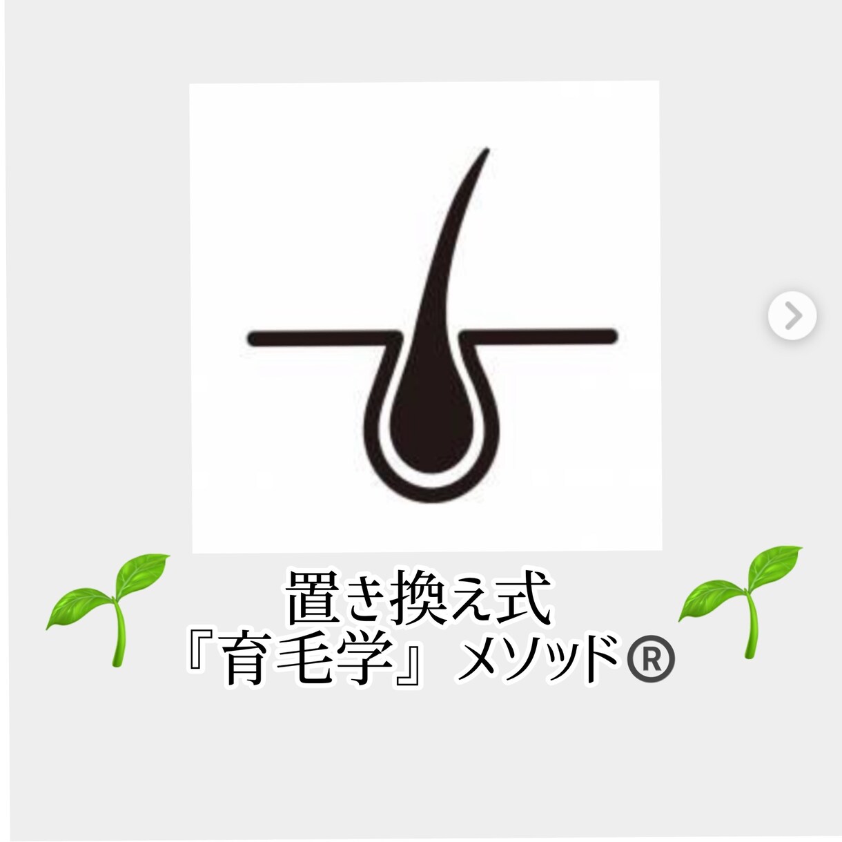 初回特価⭐︎育毛Only Oneアドバイスをします ＼先着30名様限定／自宅で育毛にコミット！最適なアドバイス イメージ1