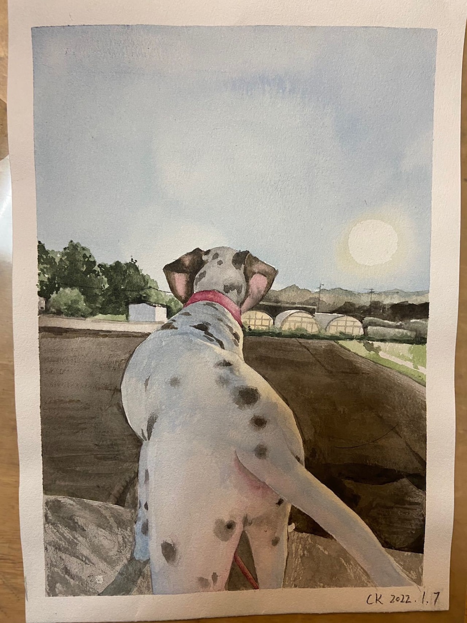 水彩やデッサンで写真や景色等を綺麗に描きます 絵柄色々、お客様のご希望に沿ったイメージで納品させて頂きます イメージ2